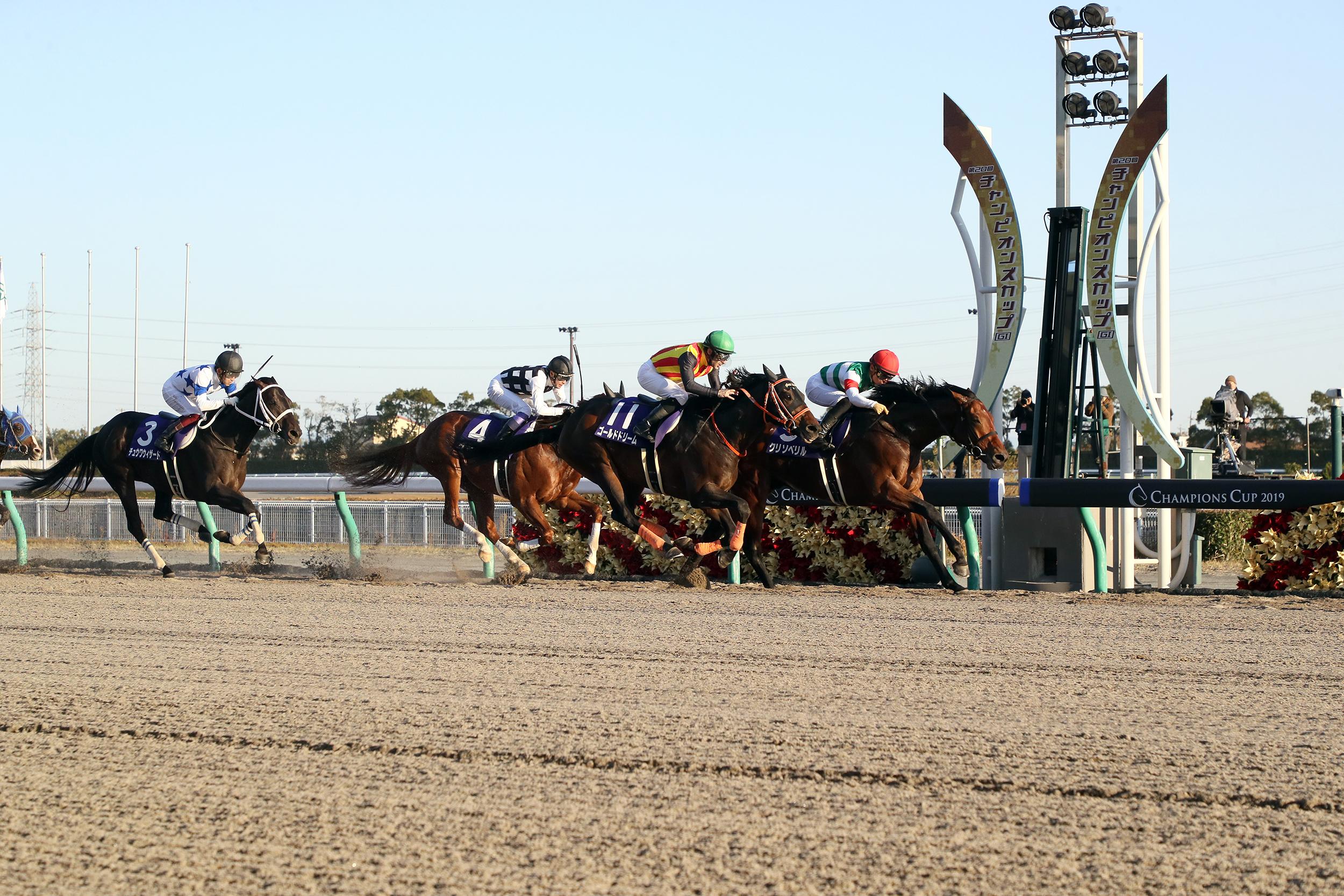 名古屋競馬株式会社 中京競馬場